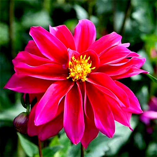 Bishop of Canterbury