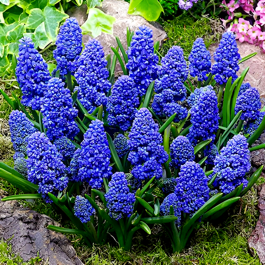 Blue Spike