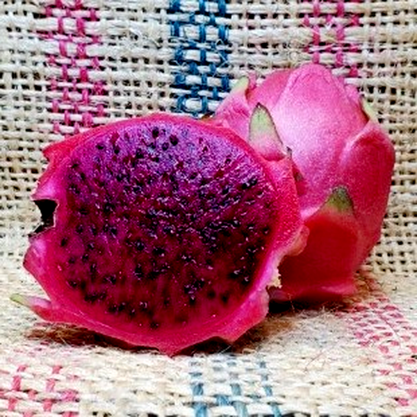 Dragon Fruit Costa Rican Sunset