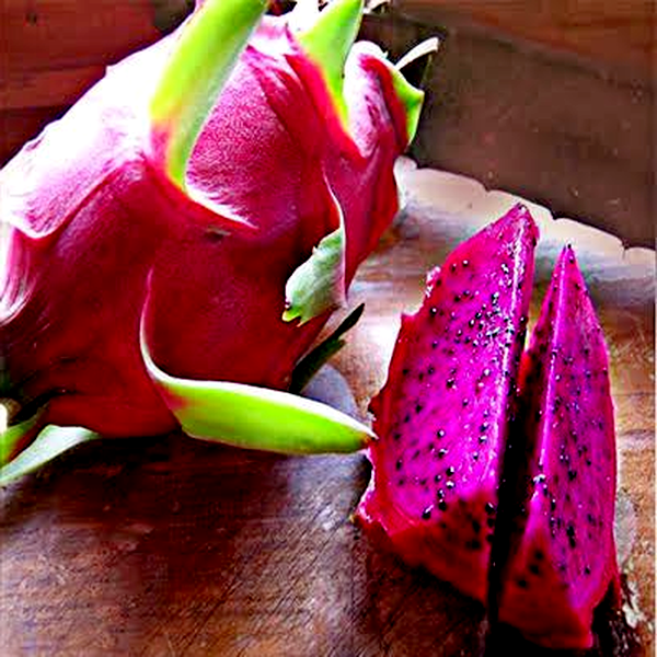 Dragon Fruit American Beauty