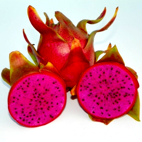 Dragon Fruit Cosmic Charlie